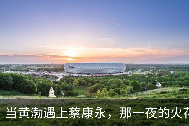 当黄渤遇上蔡康永，那一夜的火花和幽默交锋