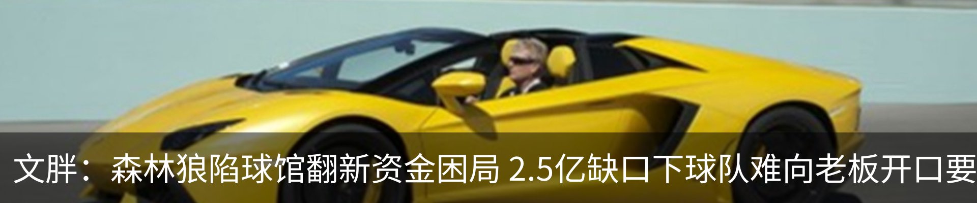 新闻动态